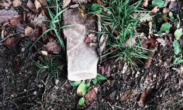 Penanda Ginjal dalam Tes Darah Rutin: Apa yang Sebenarnya Diukur